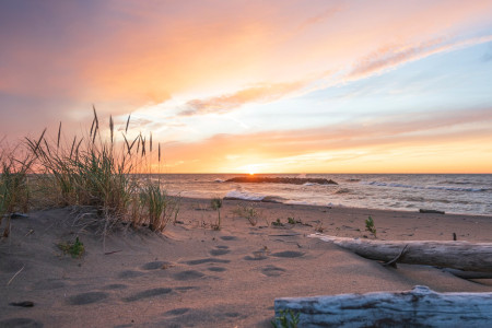 814.photo 09012025 18087397051343909