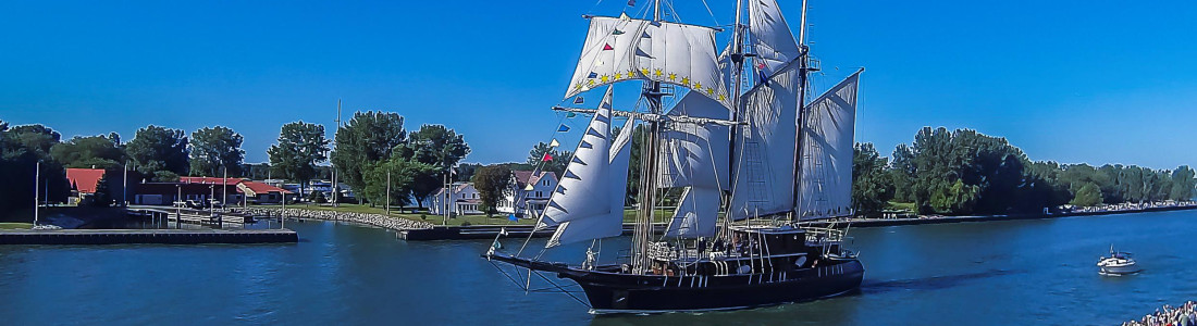 Parade of Sails Peacemaker WEB