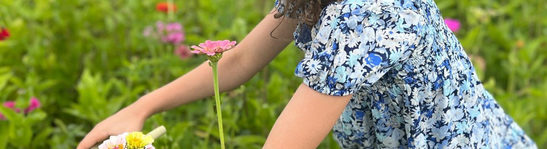 picking flowers PF flower festemelia.lawrence