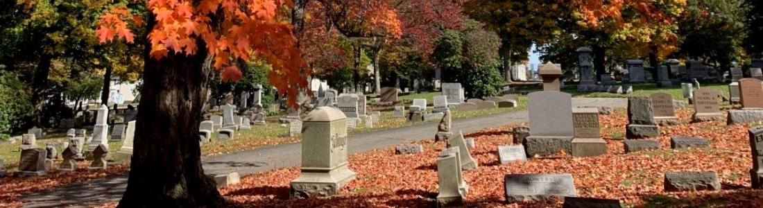 Erie Cemetary Fall Leaves and Path by Curtis Waidley WEB Crop v2