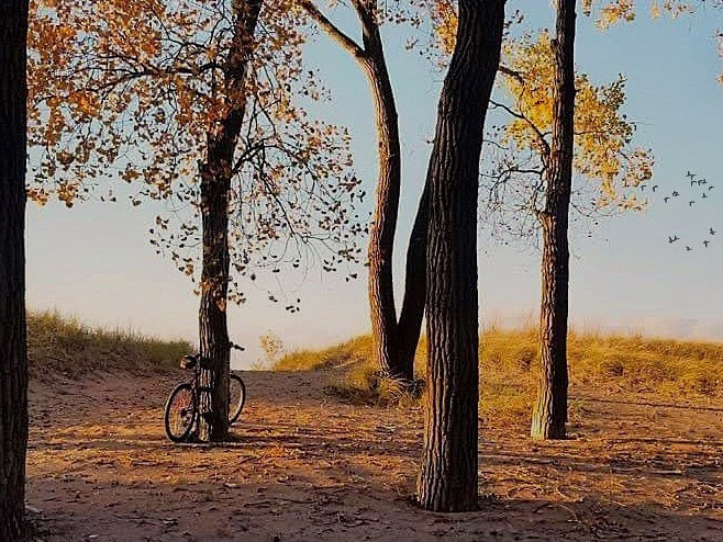 PI Bike Ride August 2023 djnrn Instagram