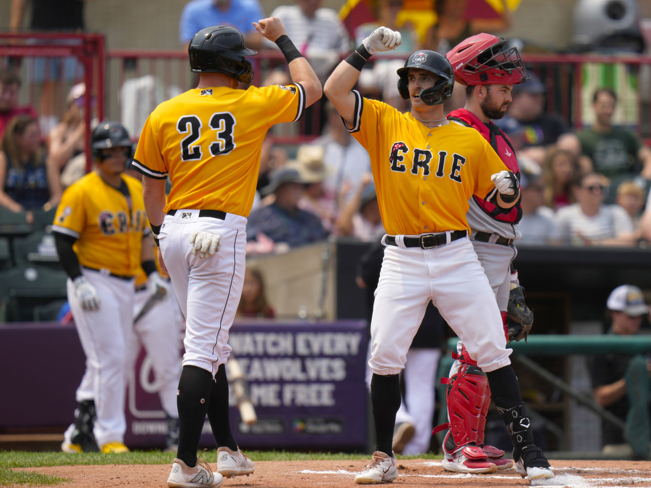 SeaWolves High Five by Mike Godlewski Photography provided by SeaWolves 2025 resize for web