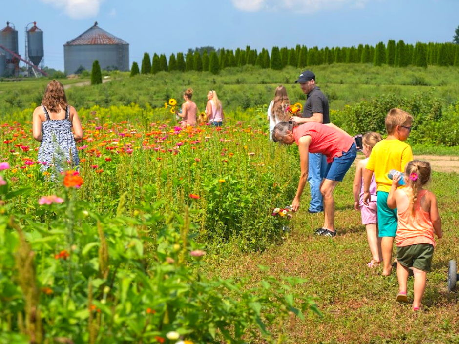 Summer Days 2023 provided by PortFarms