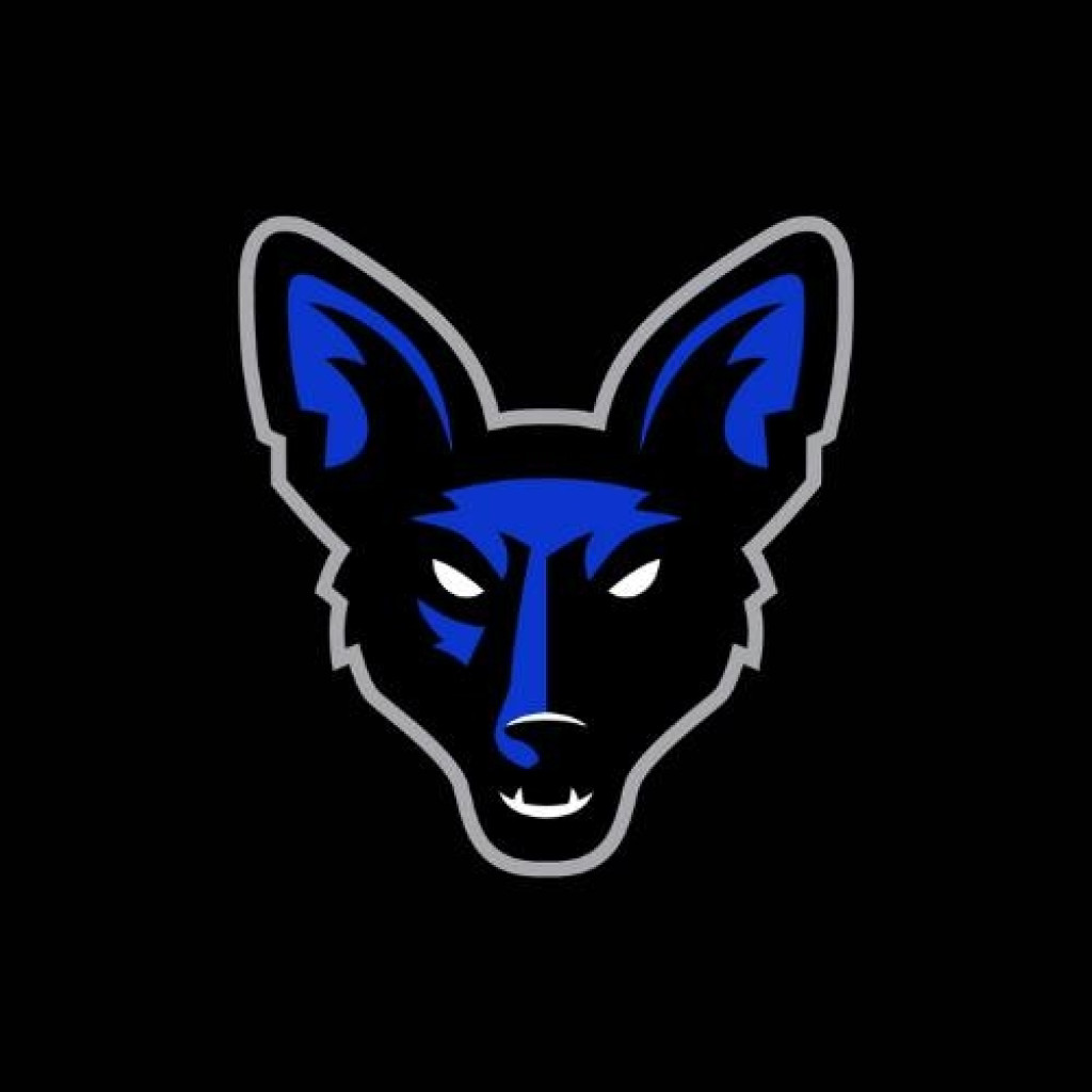 jamestown lake erie jackals