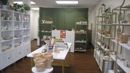 sealed by nature store v2