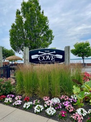 the cove sign july 2025 resize web