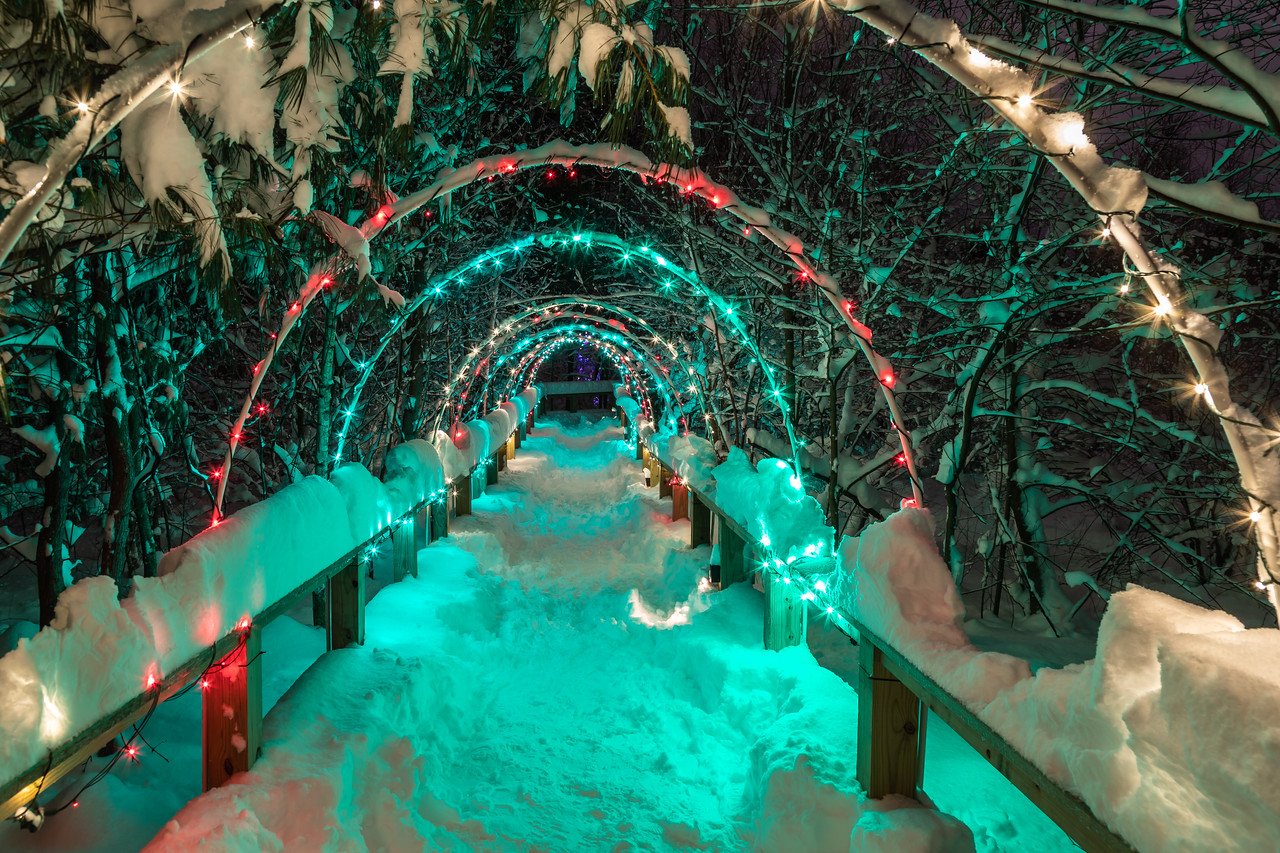Winter Wonderland at Asbury Woods