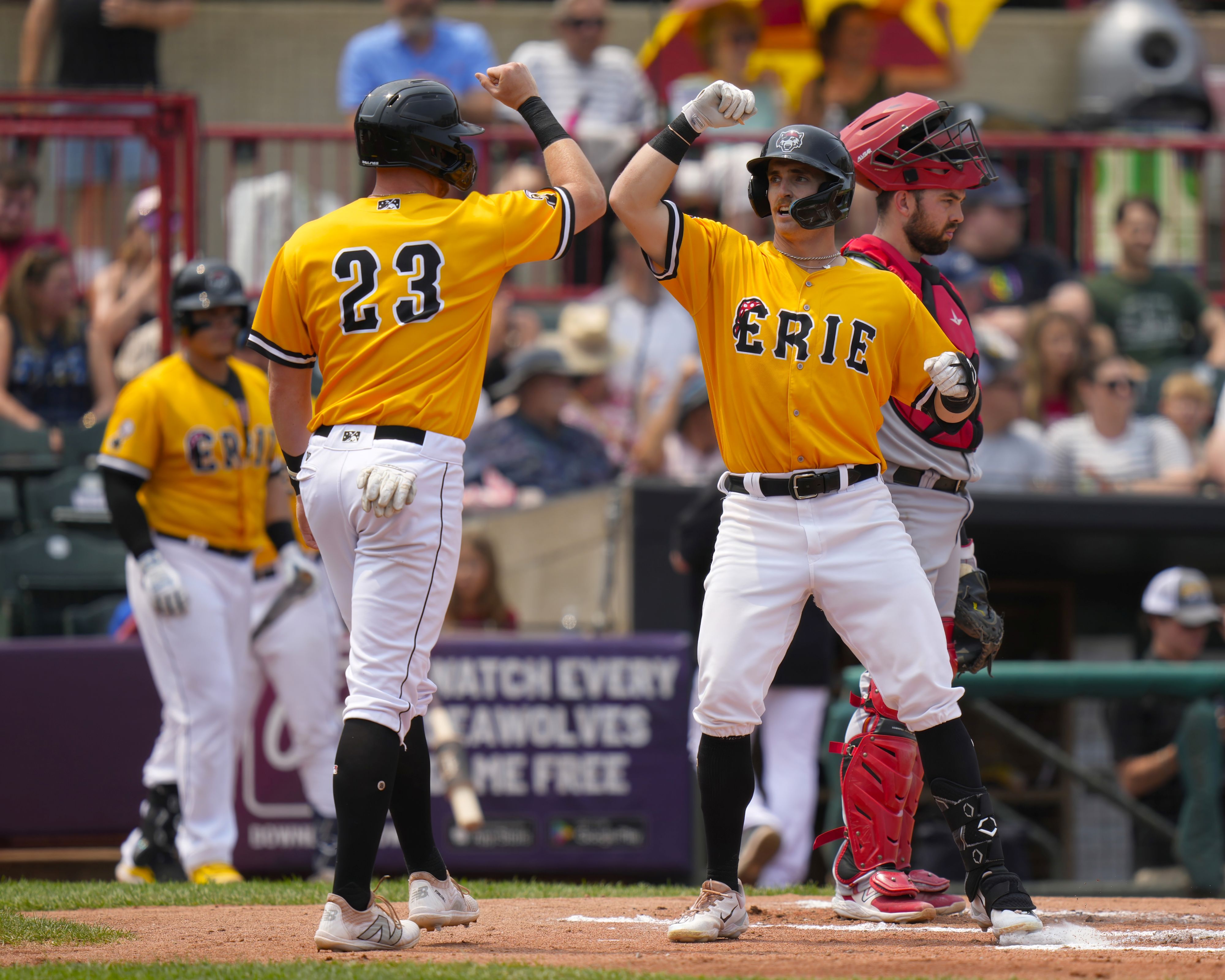Erie SeaWolves vs. Harrisburg: Two-Buck Thursday