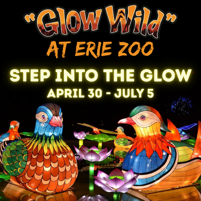 Glow Wild