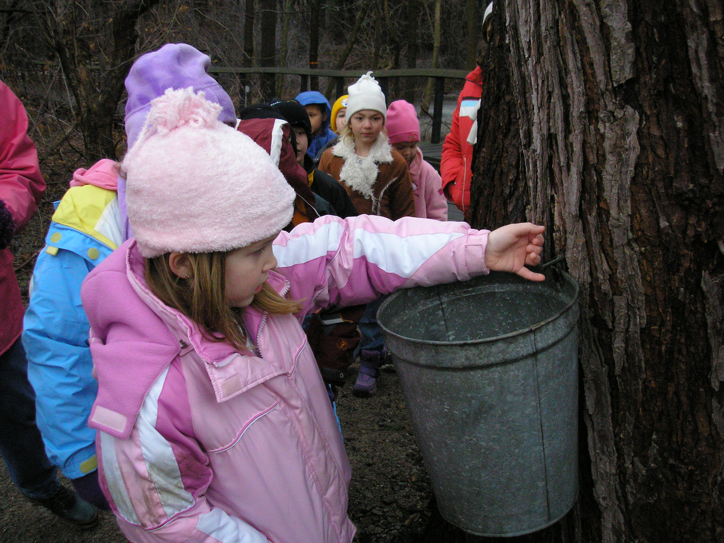 Asbury Woods Maple Festival