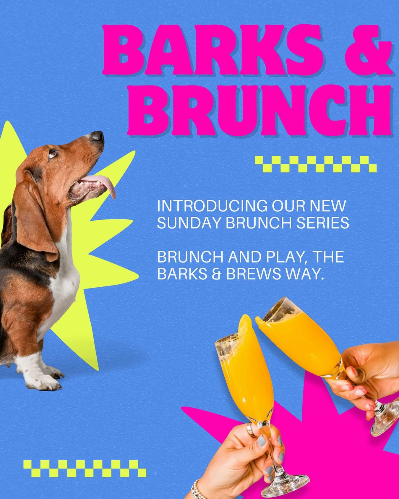 Barks and Brunch at Voodoo Brewery