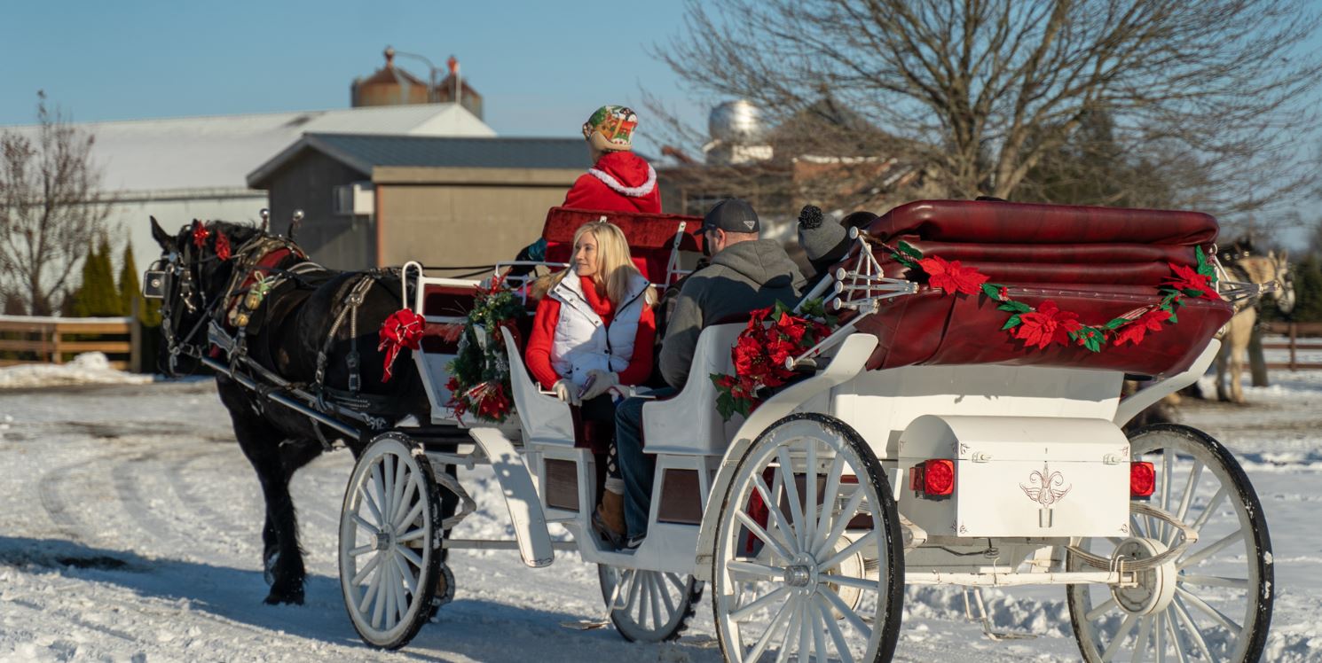 Country Christmas at Port Farms