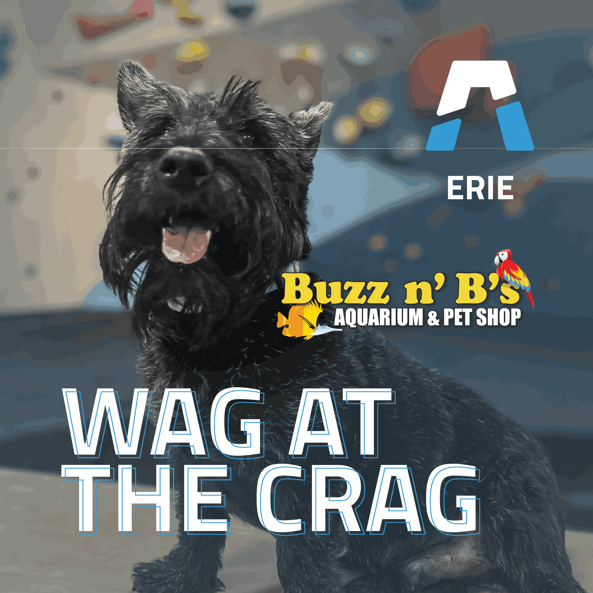 Wag at the Crag