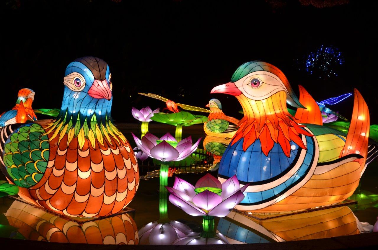 Glow Wild Chinese Lantern Festival at the Erie Zoo